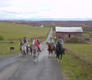 Trail Riders from Rockin' N Stables